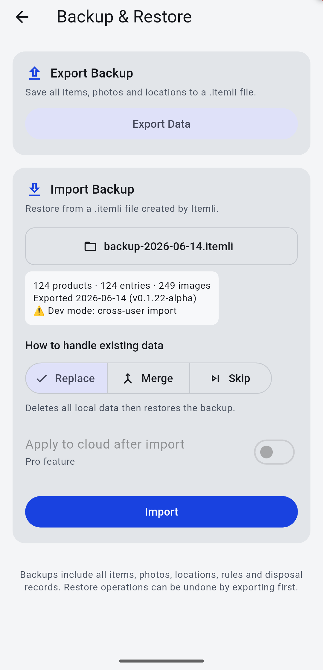 Itemli backup and restore screen
